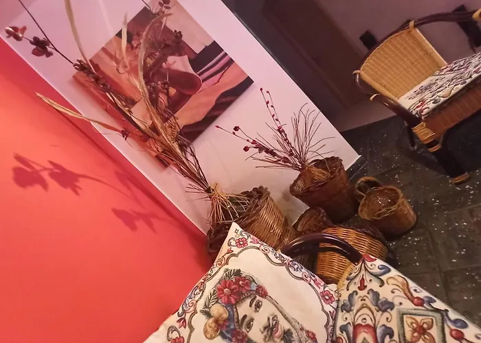 Omer シャッカ
